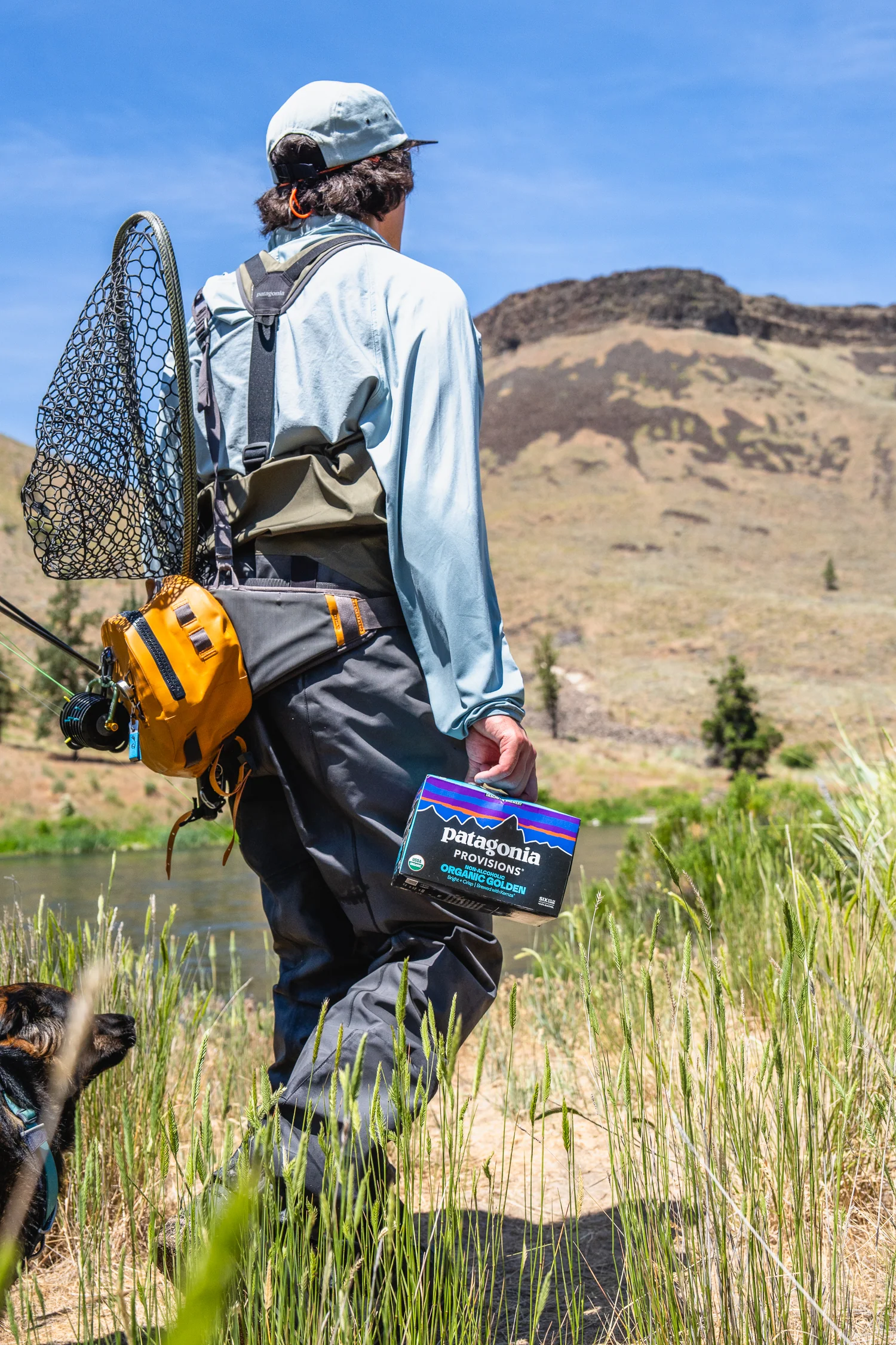 Patagonia Provisions Non-Alcoholic Organic Golden - Image 3